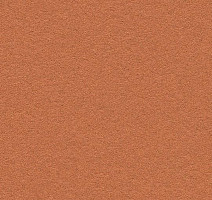 Линолеум Forbo Bulletin Board 2207 cinnamon bark фото 1 | FLOORDEALER